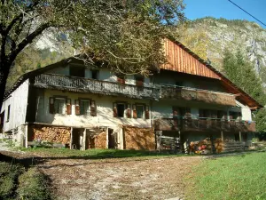 Chablais - Gefälltes Holz, Chalet mit Holzbalkons, Bäume und Berg (Massiv), im Haut-Chablais