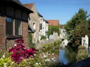 Chablis - Facades of houses along the Quai du Biez and flowers on the banks of the Serein river