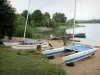 Chalain lake - Catamarans, pontoon, lake, reeds and trees