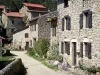 Chalencon - Façades de maisons en pierre du village médiéval