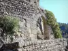 Chalencon - Fortifications du château