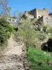Chalencon - Chemin de pierres menant au château médiéval
