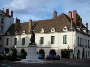 Chalon-sur-Saône - Standbeeld van Niepce en huizen in de stad