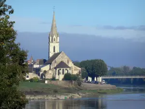 Chalonnes-sur-Loire - Église Saint-Maurille au bord de la Loire, maisons de la ville, pont enjambant le fleuve, arbres (Val de Loire)