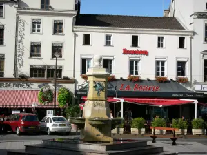 Châlons-en-Champagne - Place de la République : fontaine, maisons et restaurants