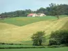 Chalosse - Boerderij, omgeven door velden