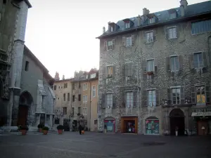 Chambéry - Luogo metropoli ornata con arbusti in vaso, Cattedrale di San Francesco di Sales, e le case di costruzione nella città vecchia