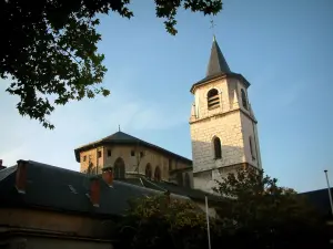 Chambéry - Rami di un albero in primo piano e la Cattedrale di San Francesco di Sales