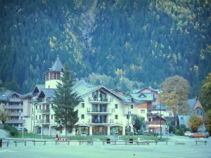 Chamonix-Mont-Blanc - Sports Resort, invierno y verano (capital del alpinismo): bosque y las residencias