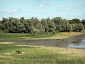 Meer van le Der-Chantecoq - Bomen en vegetatie langs het water (stuwmeer)