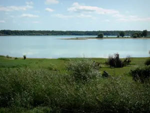 Meer van le Der-Chantecoq - Rieten, waterbodems (kunstmatig meer), banken, bomen