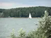 Meer van Der-Chantecoq - Zeilboot zeilen op het meer van Der, en beboste oever