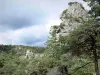 Chaos van Montpellier-le-Vieux - Dolomiet rotsen en bomen met een stormachtige hemel