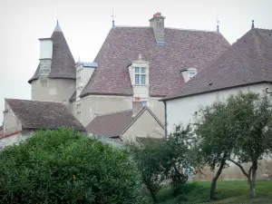 Chareil-Cintrat castle - Main building, tower and outbuildings of the castle