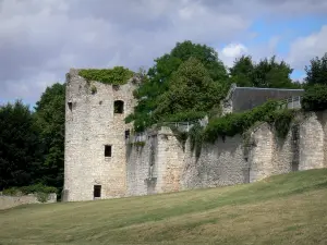 La Charité-sur-Loire - Torre e mura della medievale
