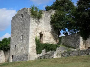 La Charité-sur-Loire - Plaza de la torre y murallas