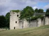 Charité-sur-Loire - 中世纪城市的塔和城墙