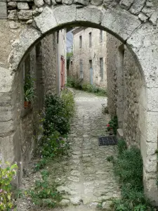 Charroux - Archway, en bloemrijke geplaveide straat met huizen en stenen