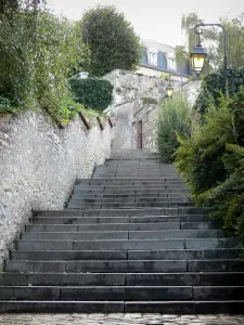 Chartres - Hügel Saint-Nicolas (Treppen), Strassenleuchten, Bäume und Sträucher