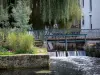 Chartres - Rivière Eure, saule pleureur (arbre) et passerelle