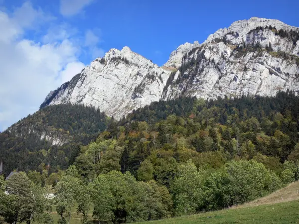 Chartreuse Regional Nature Park - Chartreuse mountains: cliffs overhanging the trees of the forest