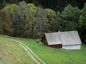 Chartreuse Regional Nature Park - Chartreuse mountains: chalet, meadow and trees