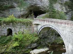 Chartreuse Regional Nature Park - Chartreuse mountains: Guiers Mort gorges: Porte de l'Enclos, bridge spanning the river