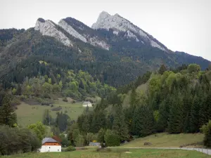 Chartreuse Regional Nature Park - Chartreuse mountains: road bordered by meadows, houses, trees, forest and mountain