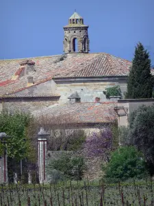 Château-abbaye de Cassan - Château-abbaye (ancien prieuré royal), clocher de l'église, arbres et vignes, à Roujan