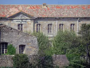 Château-abbaye de Cassan - Château-abbaye (ancien prieuré royal) et arbres, à Roujan