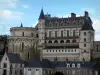 Château d'Amboise - Royal castle and Minimes tower
