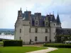 Château d'Amboise - Royal castle, path lined with lawns and flags