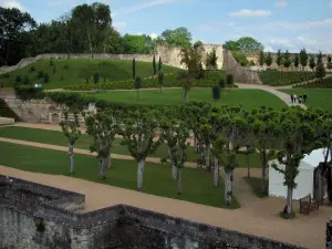 Château d'Amboise - Gardens of the royal castle