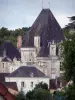 Château d'Azay-le-Ferron - Voorgevel van het kasteel en het dorp huizen, in het Regionaal Natuurpark van de Brenne