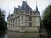 Château d'Azay-le-Rideau - Château Renaissance, rivière (l'Indre) et arbres du parc