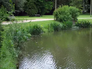 Château d'Azay-le-Rideau - Parc du château : rivière (l'Indre), fleurs au bord de l'eau, arbustes, allées, pelouses, bancs et arbres