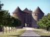 Château de Berzé-le-Châtel - Allée bordée d'arbres menant au châtelet d'entrée ; dans le Mâconnais