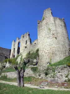 Château de Boulogne - Ruines médiévales du château