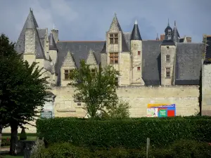 Château de Boumois - Château, à Saint-Martin-de-la-Place