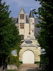 Château de Boumois - Château, à Saint-Martin-de-la-Place