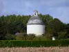 Château de Boumois - Dovecote and trees, in Saint-Martin-de-la-Place