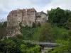 Château de Boussac - Château perché et arbres