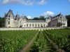 Château de Brézé - Château Renaissance et champ de vignes