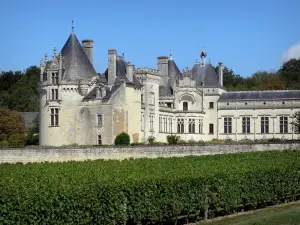 Château de Brézé - Renaissance château and vineyards