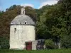 Château de Brézé - Pigeonnier et arbres