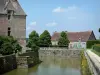 Château de Carrouges - Douves du château