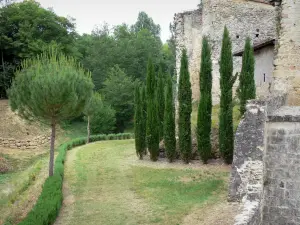 Château de Cazeneuve - Cyprès au pied de l'enceinte du château