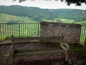 Château-Chalon - Belvedere e la sua panchina con vista (panorama) su vigneti vigneti (Giura) e alberi