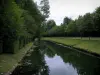 Château de Chantilly - Parc : canal des Morfondus bordé de pelouses et d'arbres