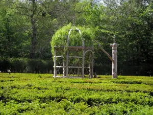 Château de Chenonceau - Maze and trees of the park